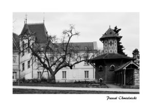 photographie de conflans-sainte-honorine par Pascal Chmielnicki photographe- le parc du prieuré -
