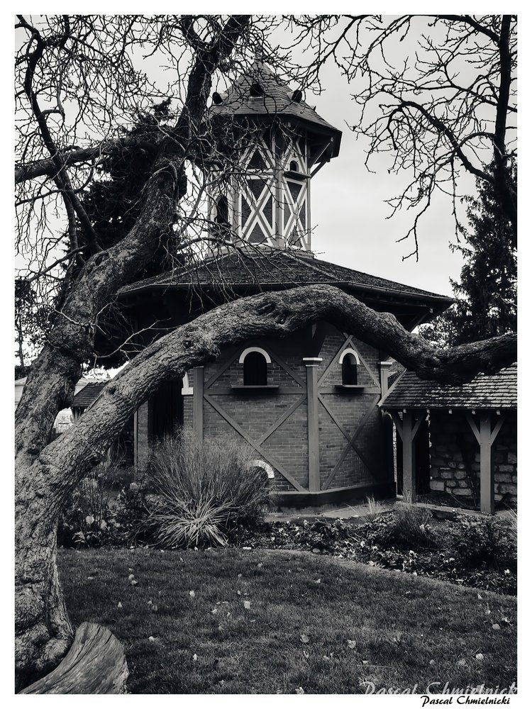 photographie de conflans-sainte-honorine par Pascal Chmielnicki photographe - le pigeonnier parc du prieuré
