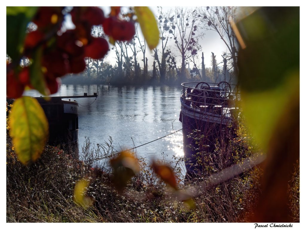 photographie de conflans-sainte-honorine par Pascal Chmielnicki photographe-A travers les branches